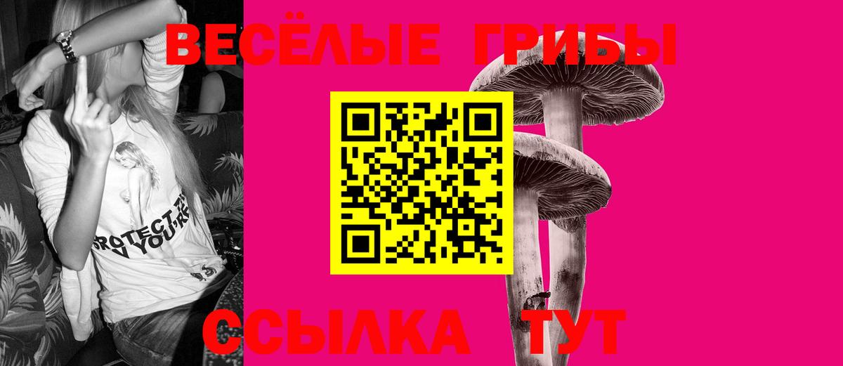 Псилоцибиновые грибы Magic Shrooms  цены наркотик  Псилоцибиновые грибы Psilocybine cubensis  Тимашёвск  Вход с VPN 